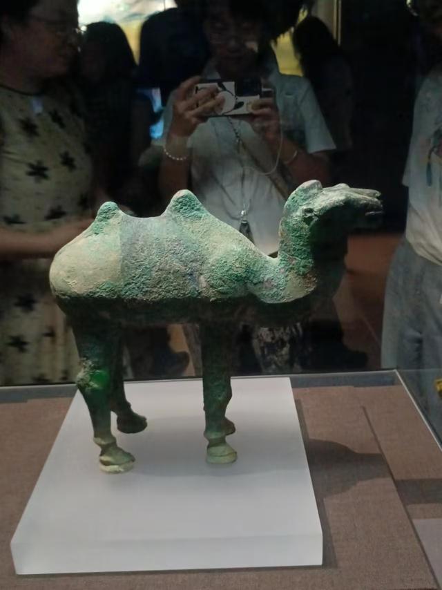 又踏甘肃地之八十一 兰州篇之四 甘肃省博物馆（3）