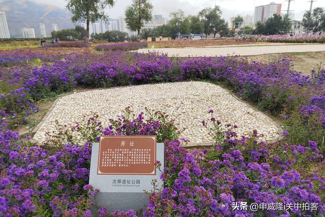 西宁市：走进沈那遗址公园