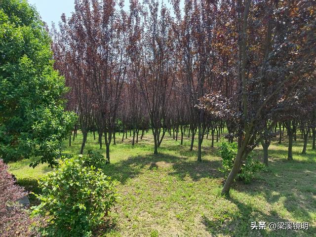 南京六合瓜埠地质公园