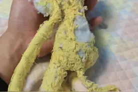 父亲为儿子找“猴子”惊动300多万网友，后续来了！图片