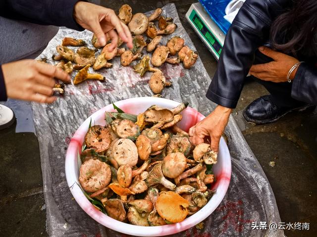 没有去过川陕交界这个城市的早市，就不能触摸这个城市的灵魂