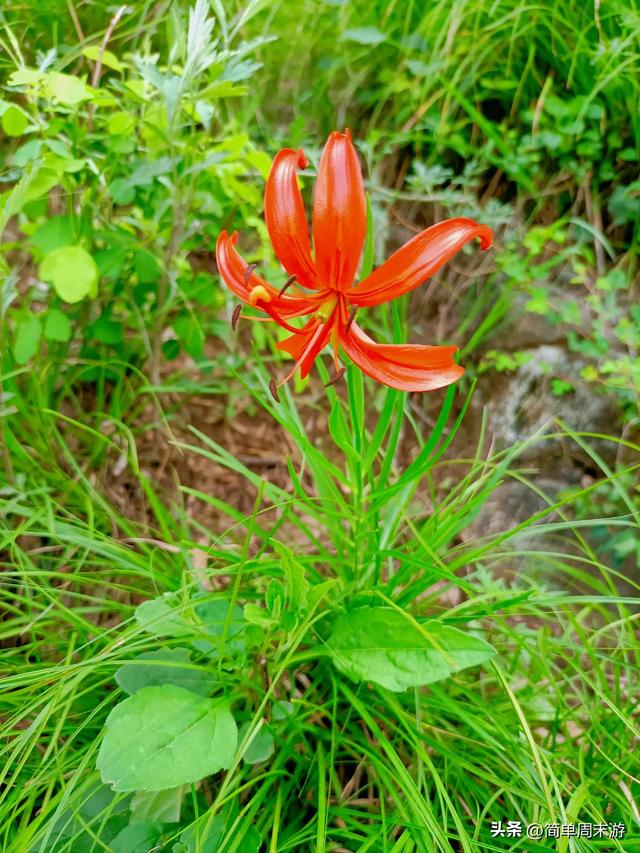 9）山西陵川三载后再赴南太行：18人战暑踏秘境，一程山水一程情
