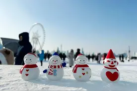 哈尔滨大雪人做成了“盲盒”！在小小的盒子里面挖呀挖呀挖～超想要隐藏款！图片