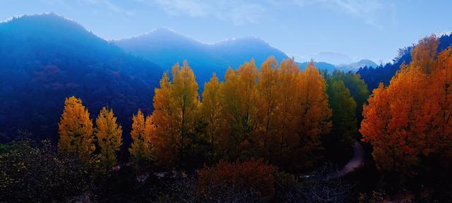 骊山红叶似火 车辆行人如织