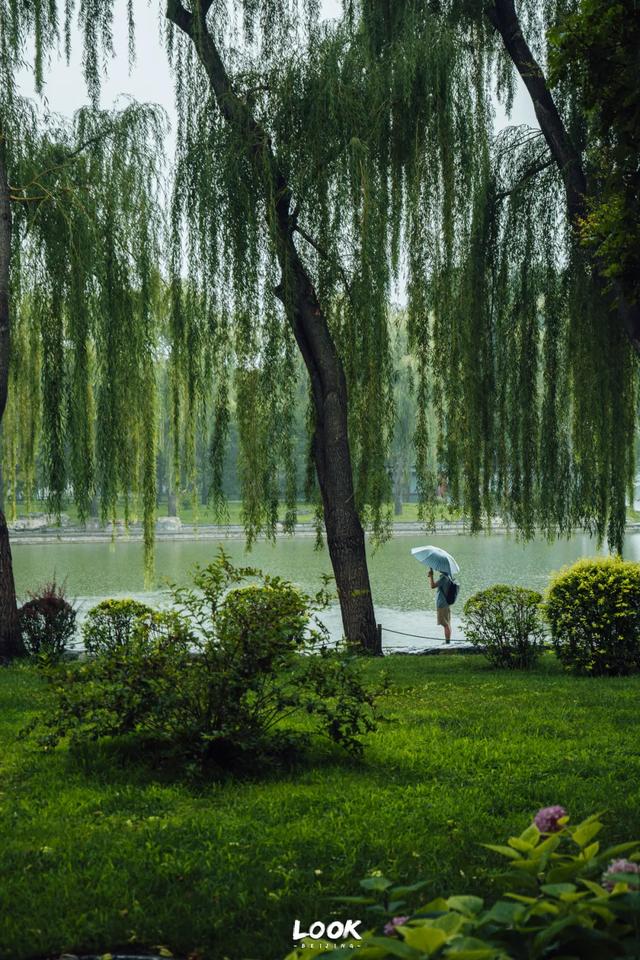夏天来北京，就为了逛这座公园