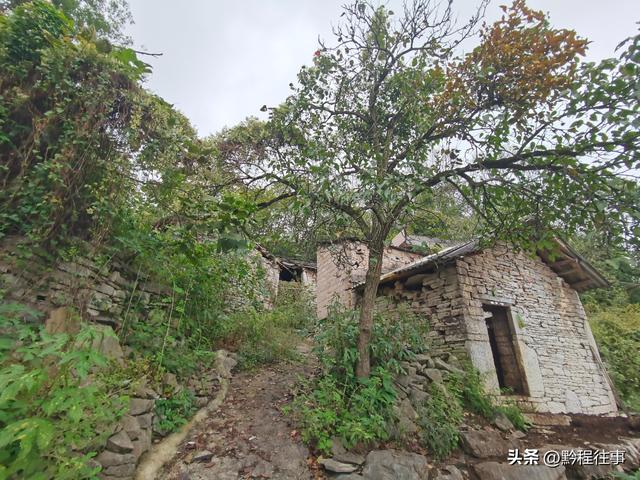 偏远乡野中寻找一个古寺遗址，探险一个深邃溶洞