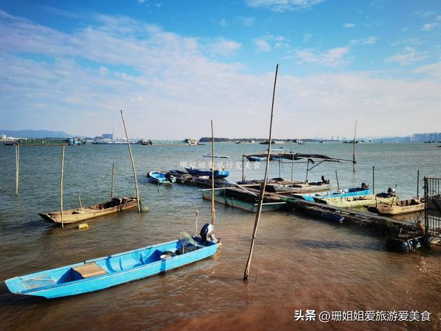 佛山高明小众宝藏渔村！初冬正确打开方式：吹西江风、吃现捞河鲜