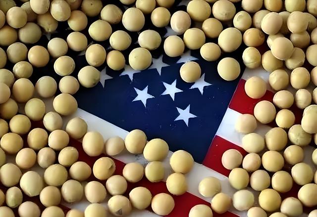 日韩上演争“爸”赛？ 同时宣布大豆紧缺	，拟定采购美国大豆！