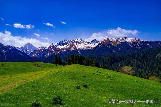 闲依
