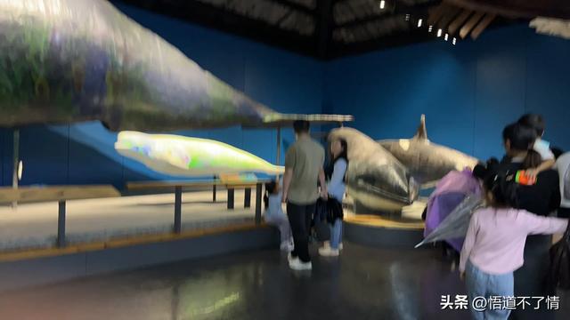 青岛，我来了