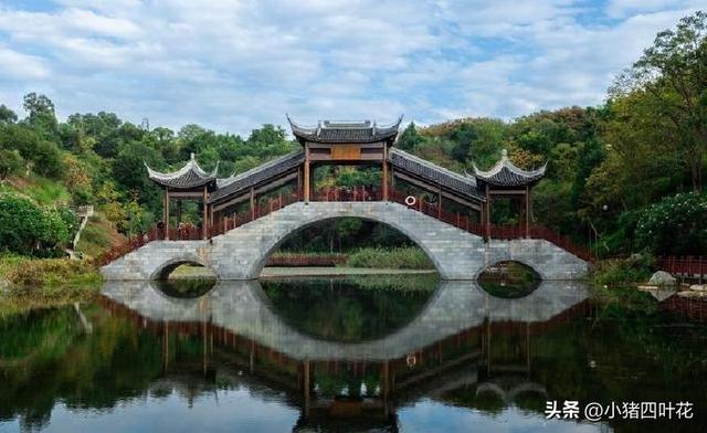 四川“黑马”资阳：成都没料到，内江没料到，今成全国瞩目焦点！