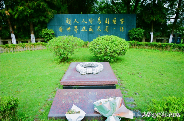 北碚公园竟是"大熊猫"命名地，原来藏着这么多秘密