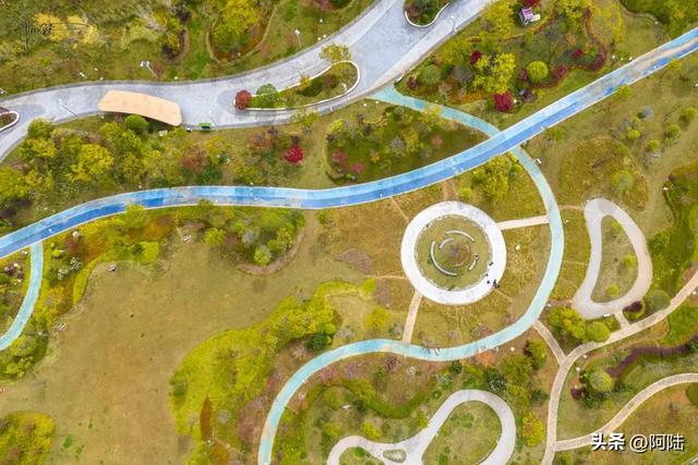 丽江市区的最美秋景在中济海，让我意外的是游客很少，什么原因？