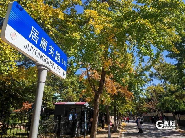 青岛：文明“捡秋”，让风景与风度同在