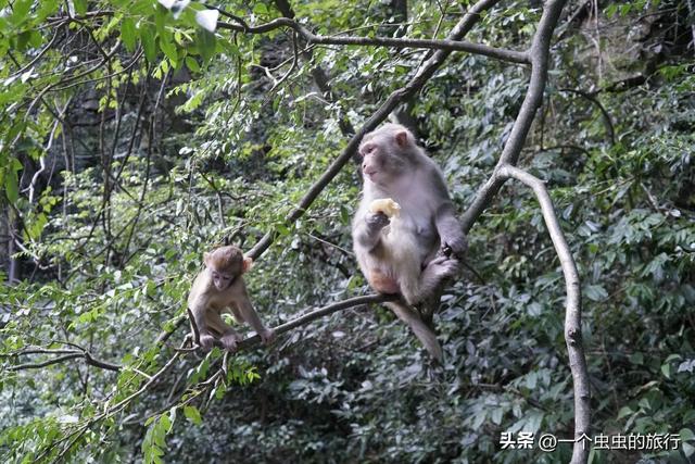 错峰出行！淡季的十里画廊人少景美，每一步都是治愈系大片！