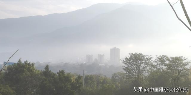 吾在米易过去冬天