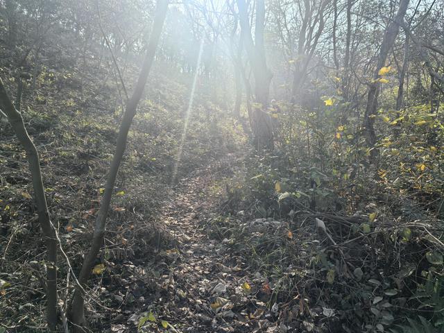 南京龙尚湖，大连山，佘村一日郊野徒步