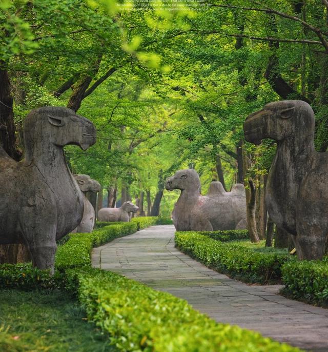 逛明孝陵走石象路，见六朝古砖载石兽还赏斑驳光影