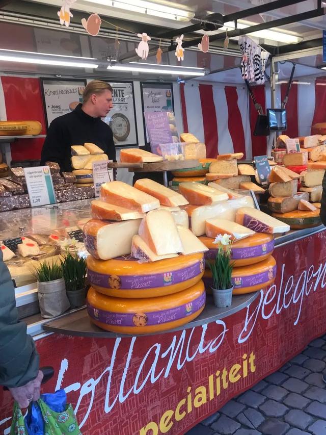 《再见，荷兰》