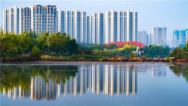 【精品线路】“新”动新区，这份「青春漫游指南」请查收！