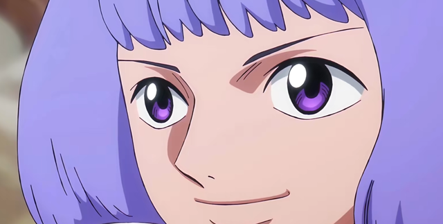 海贼王，神之骑士团11名成员全公开！实际上并没有那么强