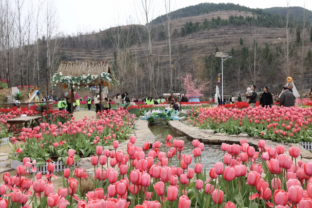 临沂“3.8”女神节必看｜免票+特惠+活动一键解锁