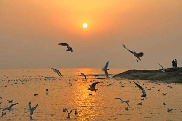 即将进入颜值巅峰！就在日照这些地方！