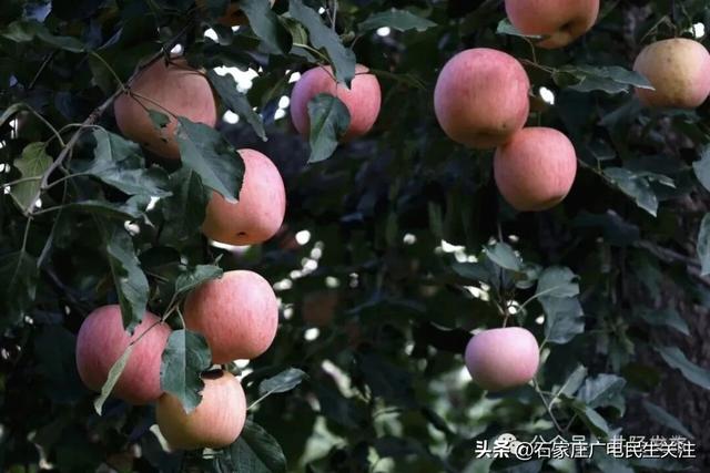 双节假期井陉攻略，带您玩转井陉