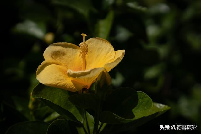 行摄越南，从南到北（11）——巨型渔网&纸花工艺&奥黛女放水灯
