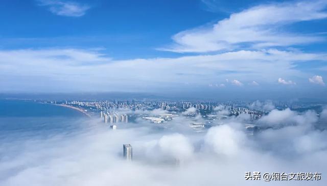 【乐游烟台】周末好去处丨在家门口！烟台新开市集好逛到尖叫