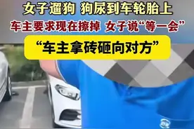 解气！上海女子遛狗尿轮胎，女子拒绝擦干，车主怒砸狗，警方介入图片