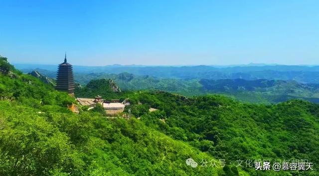 清代的禁止乱砍滥伐石碑