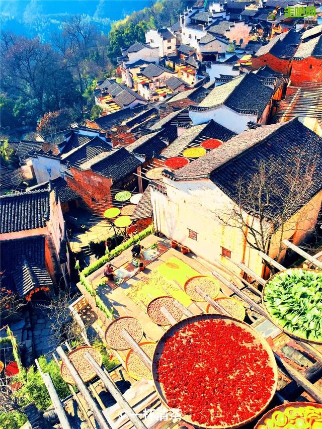 接下来2个月，这16个地方的秋色迎来“封神”之作，挑一个出发！