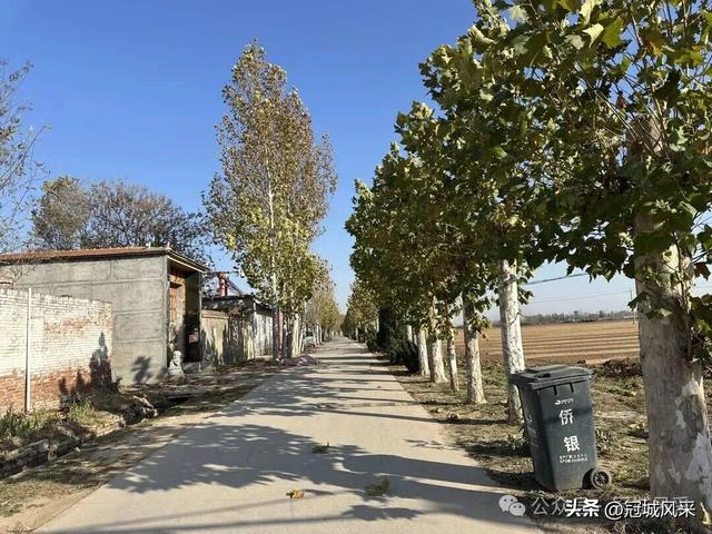 冠县乡韵·贾镇岑庄