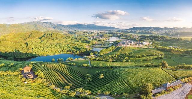 王俊凯绝对没想到：他和夫人竟然在河北承德避暑山庄“大开眼界”