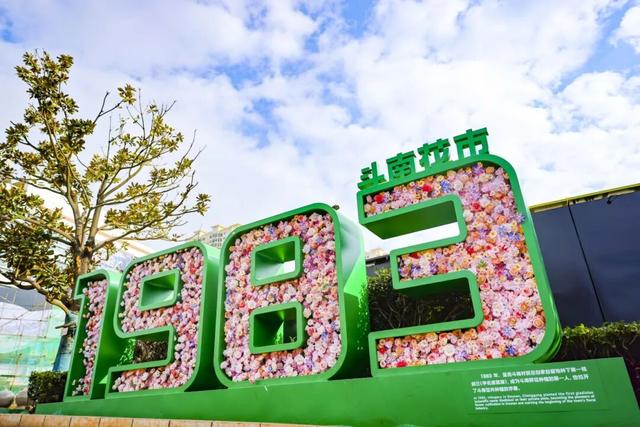 斗南花卉市场核心街区“焕新”登场！剑兰雕塑美不胜收