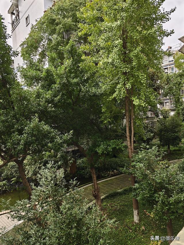 冬夜（散文诗)/墨乐缘