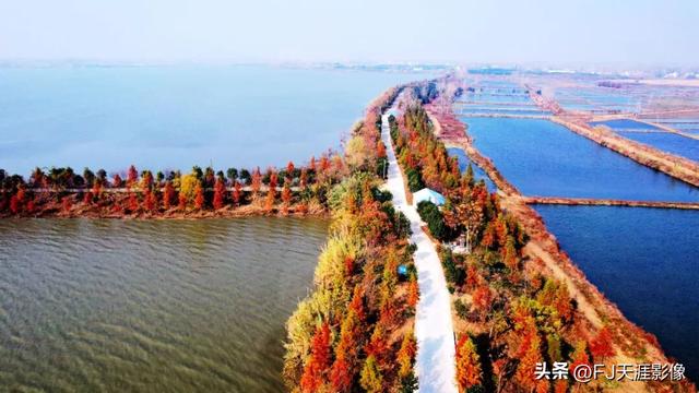 河南淮滨：一座港口船鸣，水乡诗意的温情小城！