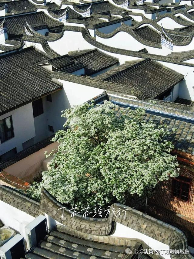 福州4号线换乘王，后段开通27个景点浪起来‼️地铁游玩手绘地图