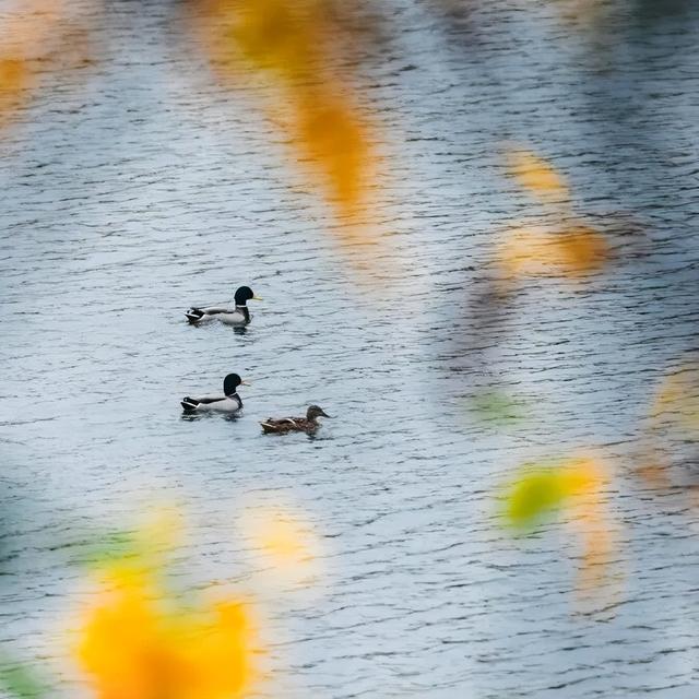 【多图预警！】这里不是5A景区，是鲁南制药！