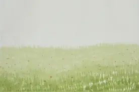 刘墉：画一片花海图片