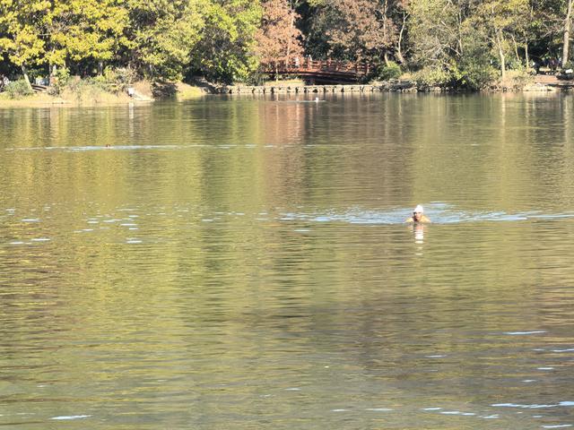 南京紫金山郊野徒步