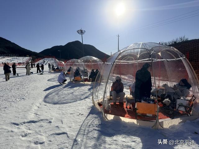 全域冰雪+萌宠逐雪+千万补贴平谷区第十七届冰雪季开幕 打造京津冀文旅休闲新地标