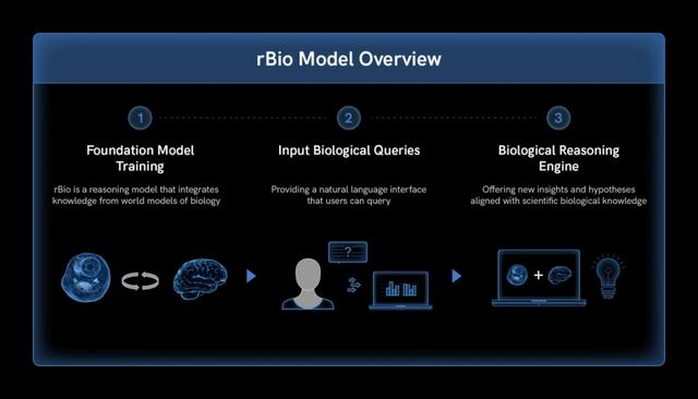 扎克伯格妻子研发生物学推理模型rBio，可从虚拟细胞中学习推理