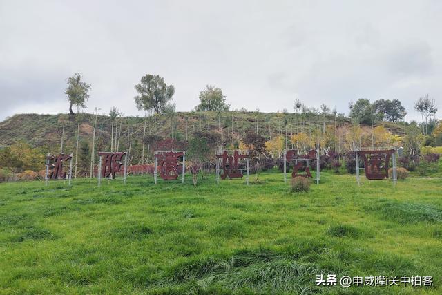 西宁市：走进沈那遗址公园