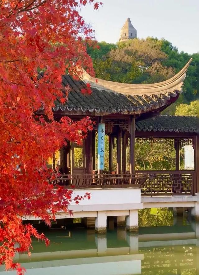 来虎丘山，这里有你更好看！