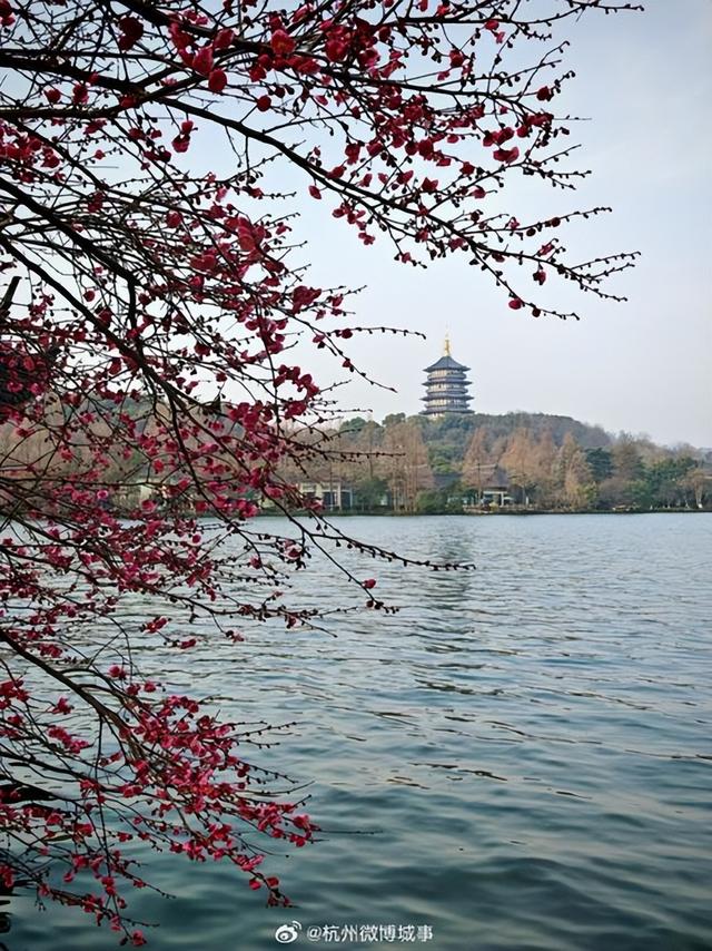 作为一个陕西人，走了那么多城市，最让我怀念还是杭州