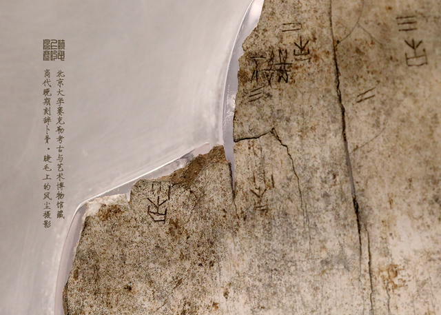 北京大学馆藏探秘：商代晚期刻辞卜骨	，解锁千年占卜密码