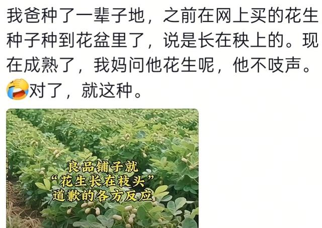 为什么说千万别让父母学会网购！看看评论区就知道了