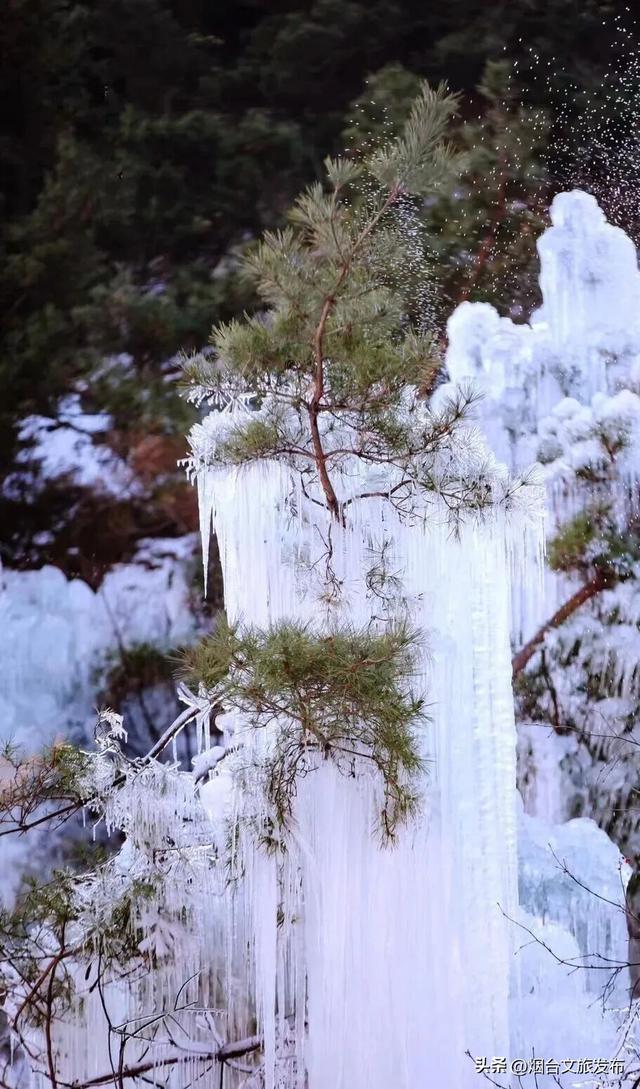 【乐游烟台】真不在北极！烟台“冰雪世界”最新实拍→